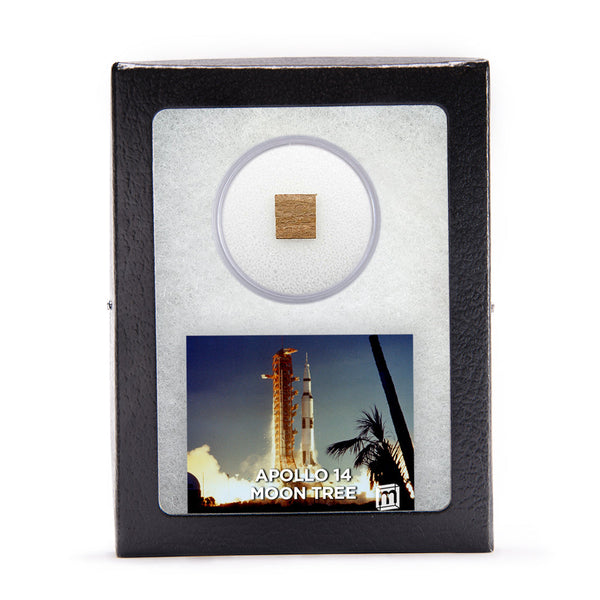 add-on-apollo-14-moon-tree-