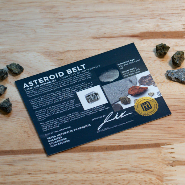 Asteroid Belt HED Meteorite Fragments - Display Card | The Space Store