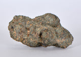 8.315g Nakhlite, Martian Meteorite, NWA 13669 - The Space Store