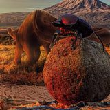 Dinosaur Dung (Coprolite) - Classic Riker Box Specimen