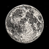 Full Moon Silver Coin -  1 in / 26 mm