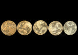 Harvest Moon Bundle - Set of 5 Brass Moon Coins