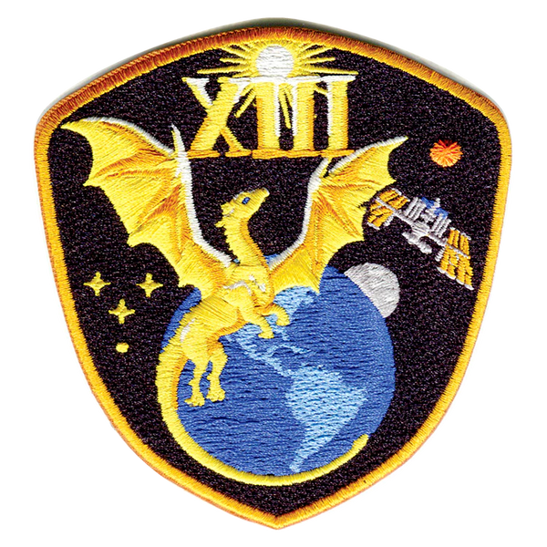 Nasa Patch Inverted NASA SpaceX Crew 13 Mission Patch