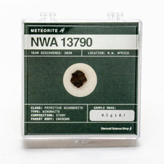 Meteorite NWA 13790 - .5g