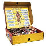 Human Body Floor Puzzle - 100pc