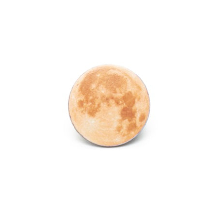 Moon Pin | The Space Store