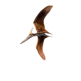 Pteranodon Pin