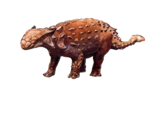 Ankylosaurus Patch