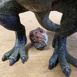 Dinosaur Dung (Coprolite) - Classic Riker Box Specimen