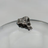 Cosmic Campo del Cielo Mini Meteorite