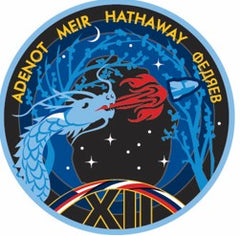 SpaceX Crew 12 Sticker