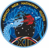 NASA SpaceX Crew 12 Mission lapel pin with names