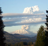 Mount St. Helens Volcanic Ash