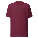 Artemis II Launch Date Unisex t-shirt Maroon