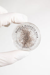 Woolly Mammoth Hair Fossil