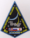 Expedition 33 Mission Patch